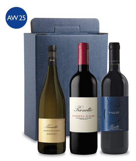 HAMPER AW25 CARTON