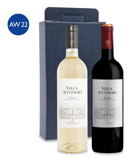 HAMPER AW22 CARTON